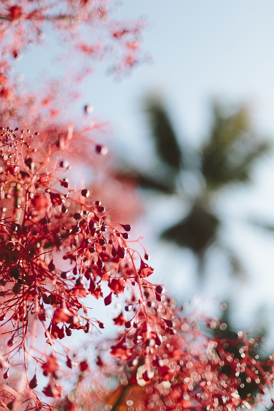 CIHT_4_SEASONS_7.26.16_052