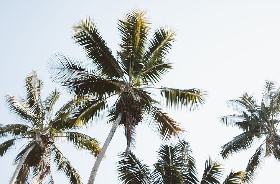 CIHT_4_SEASONS_7.26.16_053